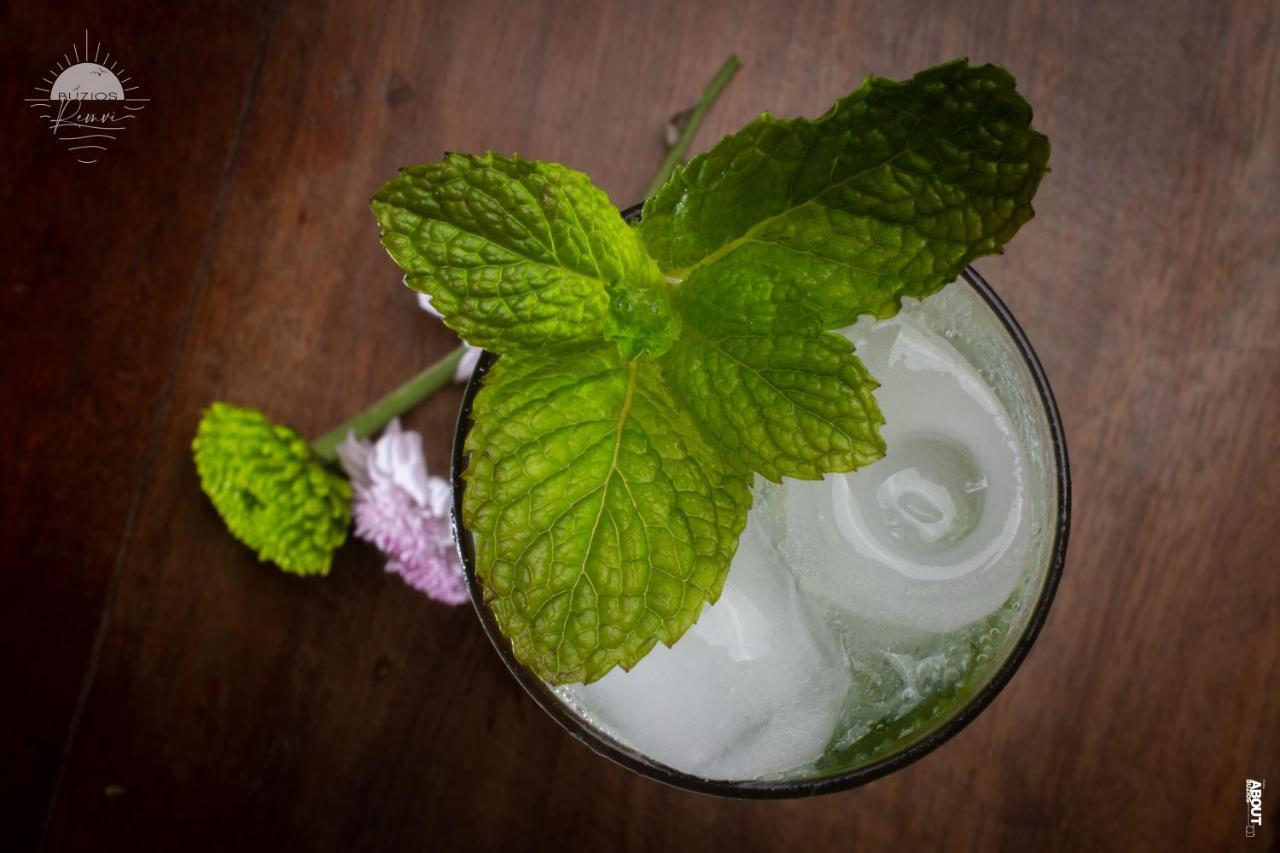 Pousada Praia Joao Fernandes Búzios Extérieur photo Mint leaves in a drink